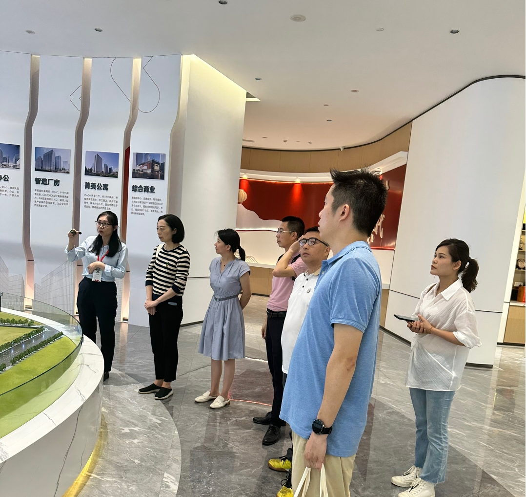 市电力行业协会一行到我协会走访交流